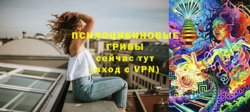 Галлюциногенные грибы MAGIC MUSHROOMS  hydra tor  Мамоново  где можно купить  